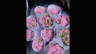 premium Export odilia spray Rose available:Get in touch for Business+25410044949