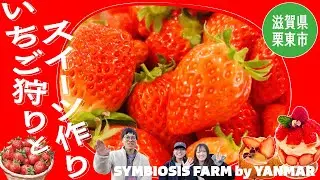 贅沢すぎる！一棟貸切いちご狩り＆スイーツ食べ放題【SYMBIOSIS FARM】滋賀県栗東市