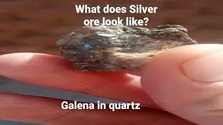 what does silver ore look like? find out here