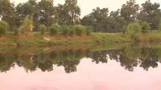 Farm Pond Fishing in Lexington