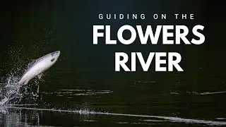 Fly Fishing Adventure | Guiding on the Flowers River for Atlantic Salmon