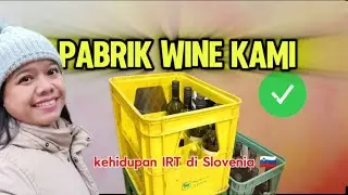 Kerja di wine keluarga di Slovenia 🇸🇮 || kegiatan ibu rumah tangga