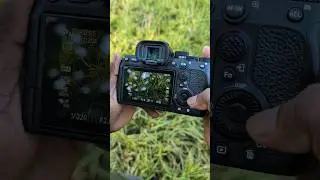 Camera basics| Manuel mode | #camera #photographyideas #telugureels #telugushorts #telugu #ytshorts