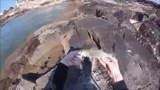 Pêche du bar 2019 : première session du bord - batz sur mer (44)