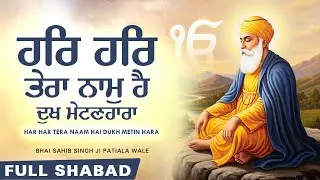 ਹਰਿ ਹਰਿ ਤੇਰਾ ਨਾਮੁ ਹੈ ਦੁਖ ਮੇਟਣਹਾਰਾ - Har Har Tera Naam | Bhai Sahib Singh | BiiR Gurbani Records