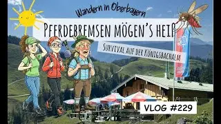 Wandern in Oberbayern (09.08.2025): Wanderung zur Königsbachalm - VLOG #229