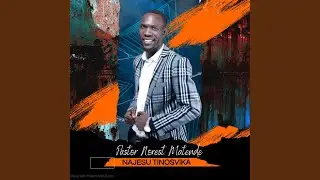 NAJESU TINOSVIKA