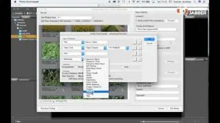 Download and Organise your images in Adobe Bridge