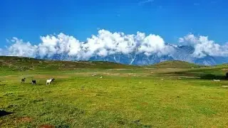 Trek to Beshai Meadows Kalam Swat