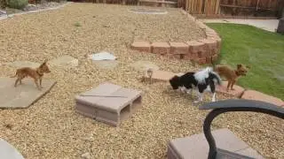 Zero camera mod s7 edge UHD 120mbps 4k test