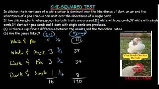 CHI-SQUARE DIHYBRID