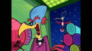 Bird Brain - We would've been better off hiring some waxed food and a bag of rocks!