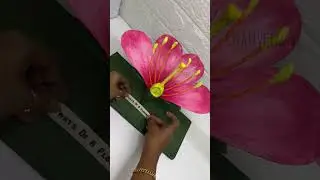 Science exhibition still model making ideas / parts of flower exhibition model