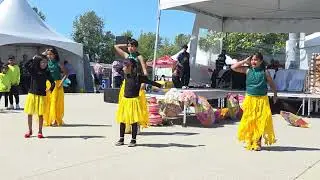 FDDA presents (Fiji EXPO)