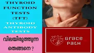 How can we interpret Thyroid Function Test / Thyroid Antibody Test ? (Malayalam)