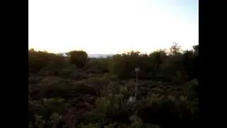 200_meerkat_meerkats_suricate_suricates_conservation_oudtshoorn_western_cape_south_africa.MOV
