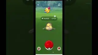OMG 😲 got both shiny stunfisk and shiny galarian stunfisk 😱 #pokemon #anime #shorts #asmr