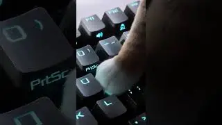 #ROG Monitors naming...🤔