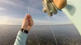 Hunting Bonefish on the Fly in Green Turtle Cay Bahamas June 2014