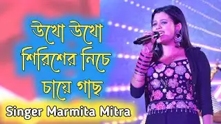 উখো উখো শিরিশের নিচে চায়ে গাছ /ukho ukho siriser niche chai gach /Marmita Mitra / AR STUDIO ASSAM