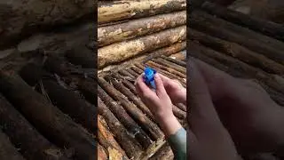 A GREAT SOLUTION!  #shorts #survival #wood #lifehacks #camping  #creativesurvival #bushcraft