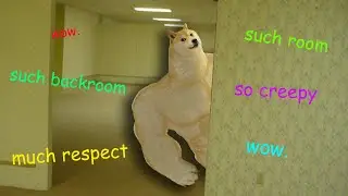 BUFFED DOGE | Backrooms Gameplay - 40 mins of MONKEE!