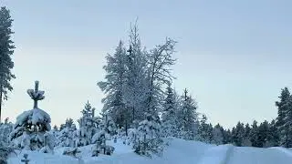 Peaceful winter day in north of Finland 