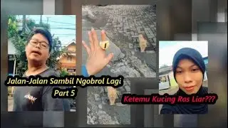 Jalan-Jalan Sambil Ngobrol Lagi part 5 (Ketemu Kucing Ras Liar???)