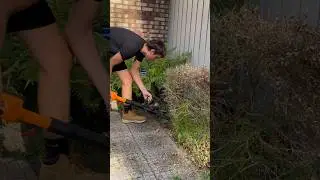 WORX Jawsaw....back in action....2 year review! #yardwork #landscape #landscaping #worx #chainsaw