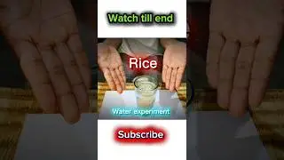 rice in water for a week #shorts #viral #experiment