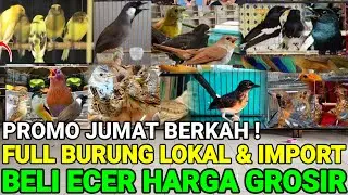 🔴 PROMO JUMAT BERKAH !! BELI 1 HARGA GROSIR FULL STOKNYA 0838-7553-6945