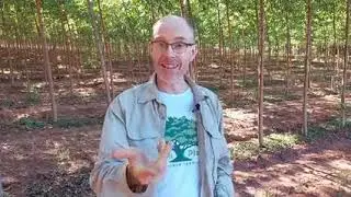 EnergieCoaching und B&auml;ume retten mit Bruno Erni