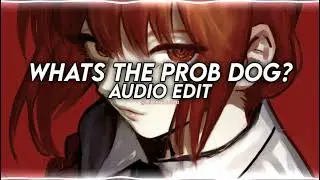 Whats The Prob Dog?( let me think about it)- Wisekids {edit audio}