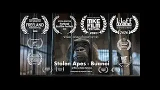Colin Sytsma Wildlife Filmmaker