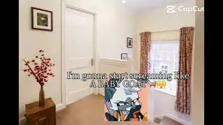 Star getting mad at miles