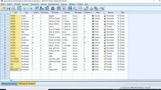 Introduction au logiciel SPSS
