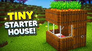 Tiny Minecraft Starter House That Looks Amazing