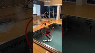 Бесконечная машина для плавания (@clem_secchi в IG)