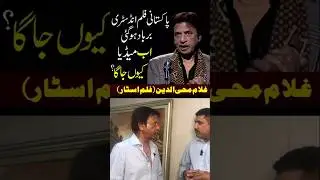 Pakistan film industry Lollywood is in deep crisis, Why Now Media Raising Voice: Ghulam Mohiuddin