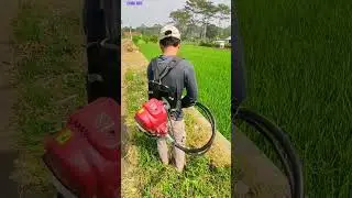 Review mesin pemotong rumput Matrix BG435 gunakan senar mantab 💯
