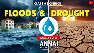 Water Crisis: Understanding Floods and Droughts | Class 6 Science CBSE | Annai Academy