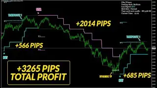 FIBO WINNER REVIEW- New Trading Monster By Karl Dittmann