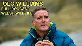 Welsh Wildlife ft Iolo Williams FULL PODCAST