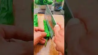 Planting Green vegetable Pepper plants Tutorial #farming #shorts