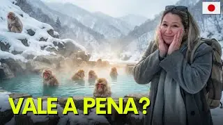 Snow Monkey Park: O que ningu&eacute;m te conta sobre os macacos na neve