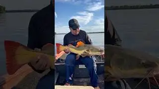 AMIGOS, A PESCARIA MAIS LOUCA QUE J&Aacute; FIZ! Pirarara bruta no Rio Araguaia!