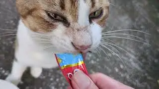 おたまこ22320😘小玉💞2袋食べた後　あれ😺