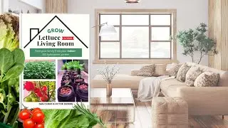 The Gardening Book You Need - Grow Lettuce in Your Living Room 🥬