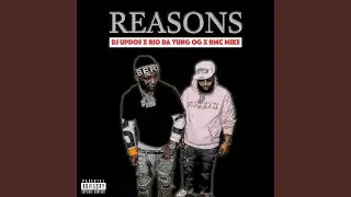 Reasons