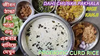 তীব্র গরমে পান্তা ভাত যেন অমৃত | Panta Bhater Thali | Dahi Pakhala/Chunka | Rice Congee |Curd Rice